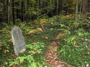 remains left to the woods, family plot, 1880s or so
