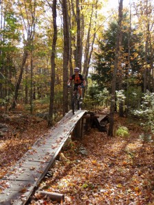Fun elevated trail