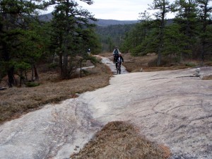 exposed granite tread