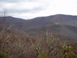 Vista from Black mtn