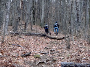 Start of Black mtn trail