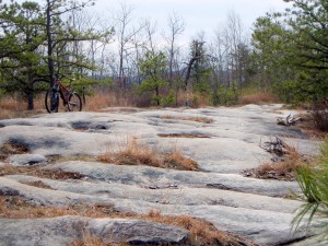 ride along rock, stay off vegetation