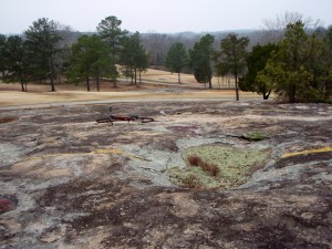 wild golf drive would bounce ball on granite race course