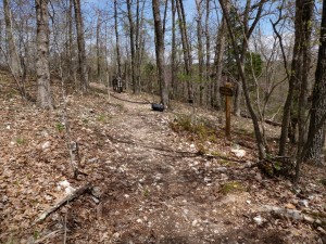 War eagle trail near overlook