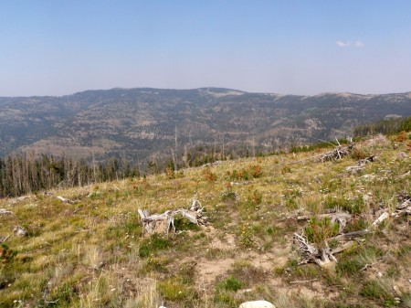 private land logged, view from clearcut top