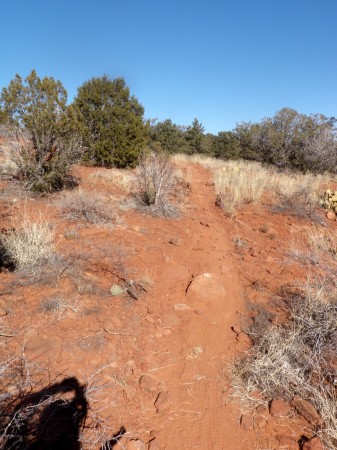 Trail on Western Civ, social trail