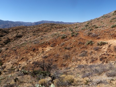 N end looking N, Sonoran desert