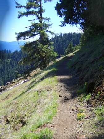 Alpine trail up high