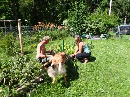 Herm, Justine, and Karma check out square foot garden