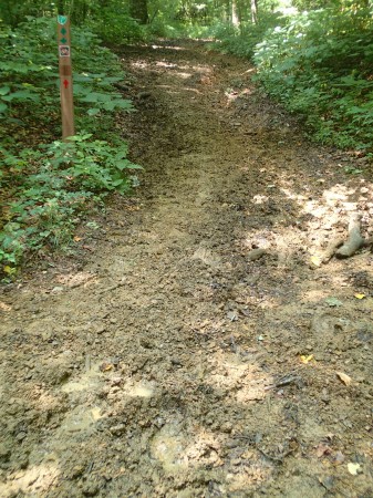 chewed up horse trail mohican