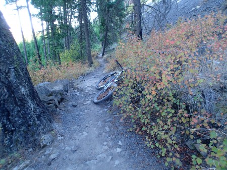 IMBA trail care crew reroute on Devils down