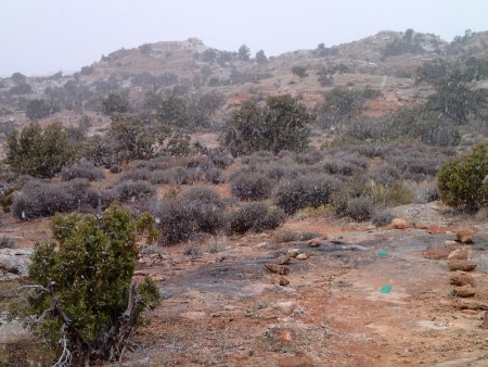 snow falling on red slick rock
