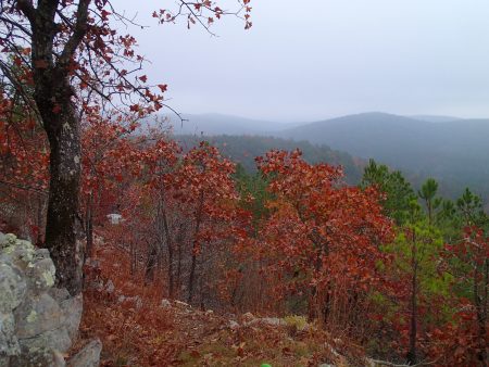 Ouachita mtns looking east 